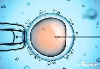 关于代生选性别包生男孩